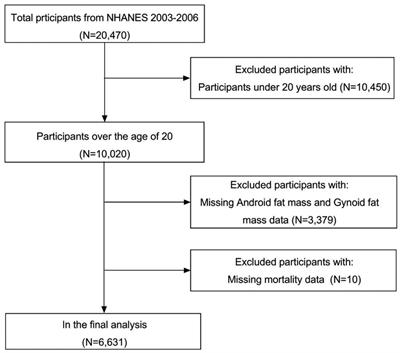 Association between android fat mass, gynoid fat mass and cardiovascular and all-cause mortality in adults: NHANES 2003–2007